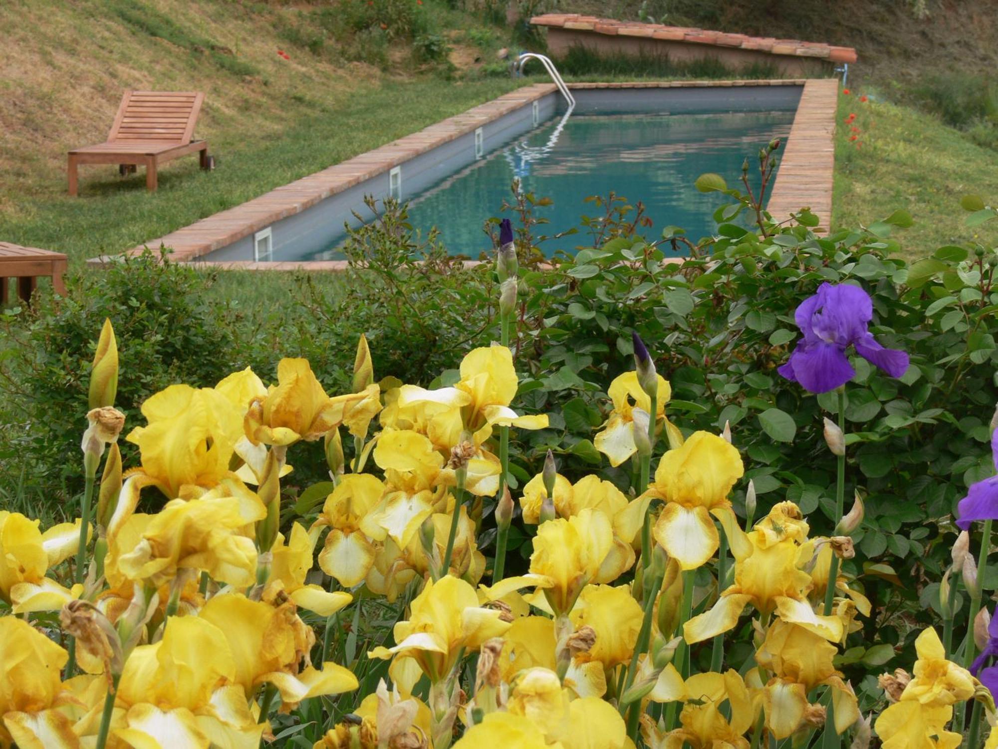 Hostal Casa Isabella Vaglio Serra Exterior foto